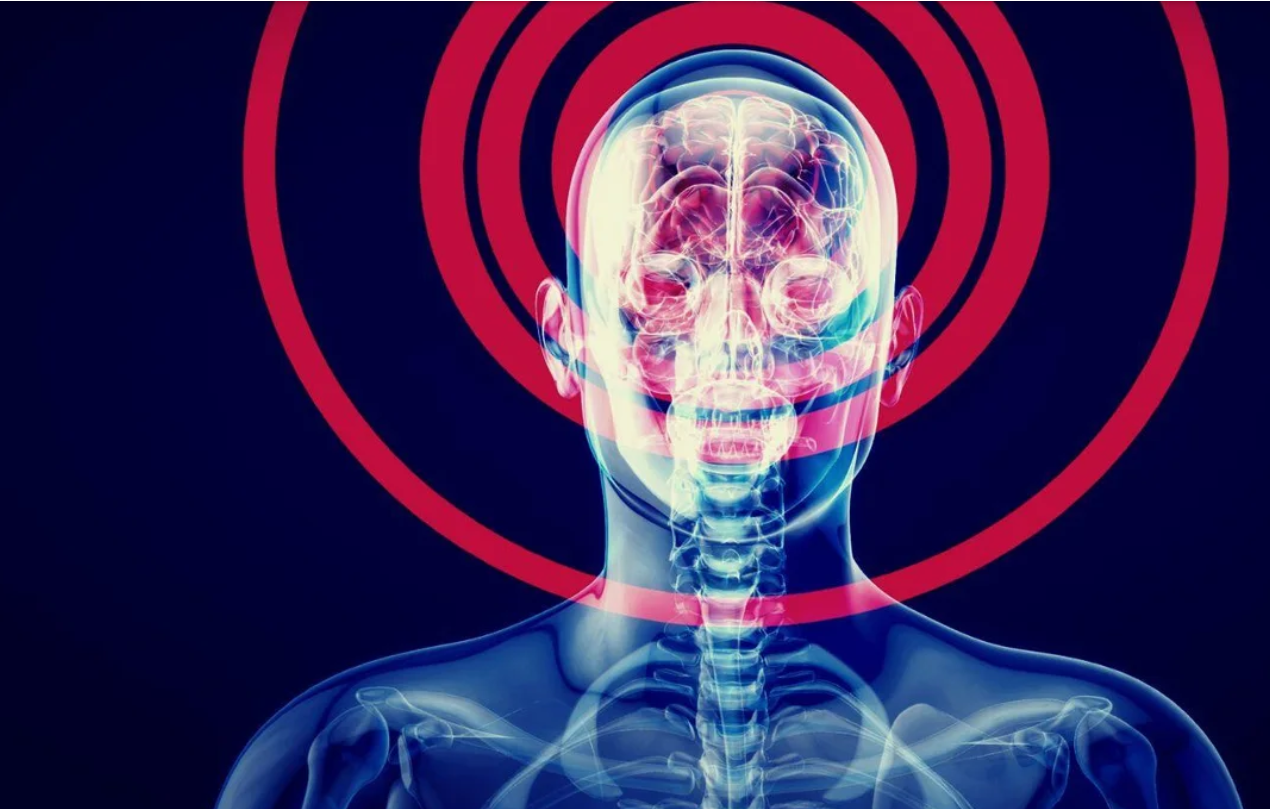 Cannabis medicinal e o envelhecimento cerebral: descobertas recentes