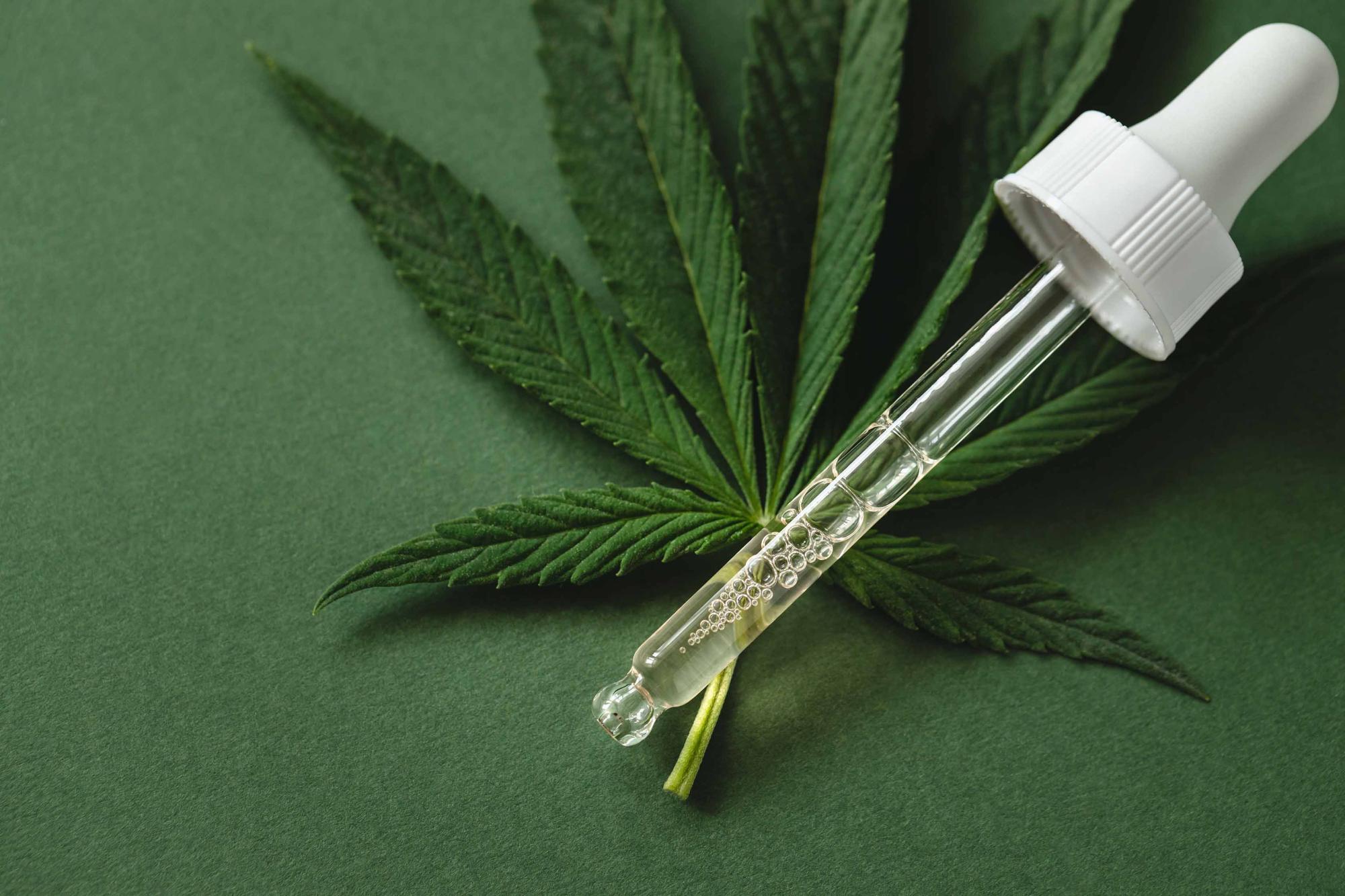 Conad aprovou a recomendação para a regulamentação urgente do cultivo e uso da cannabis para fins medicinais