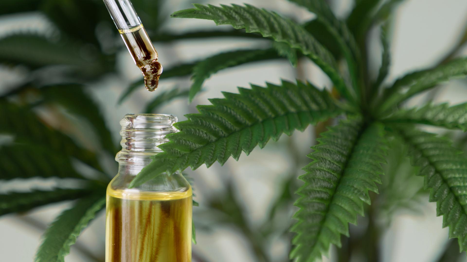 Confira 10 doenças que podem ser tratadas com canabinóides