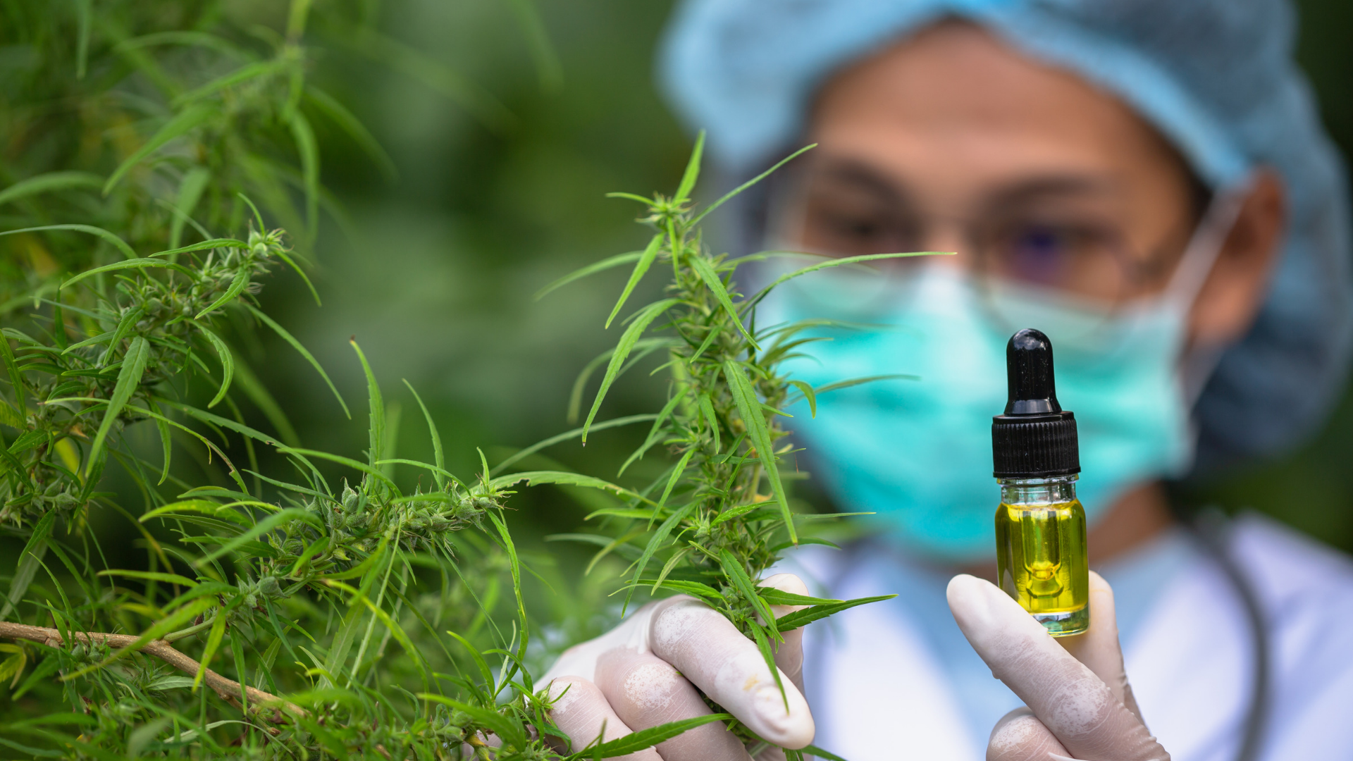 Enxaqueca: será que o CBD pode ajudar a combater os sintomas?
