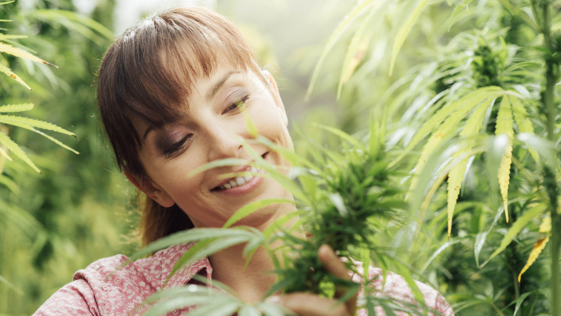 Os benefícios no uso de CBD por mulheres