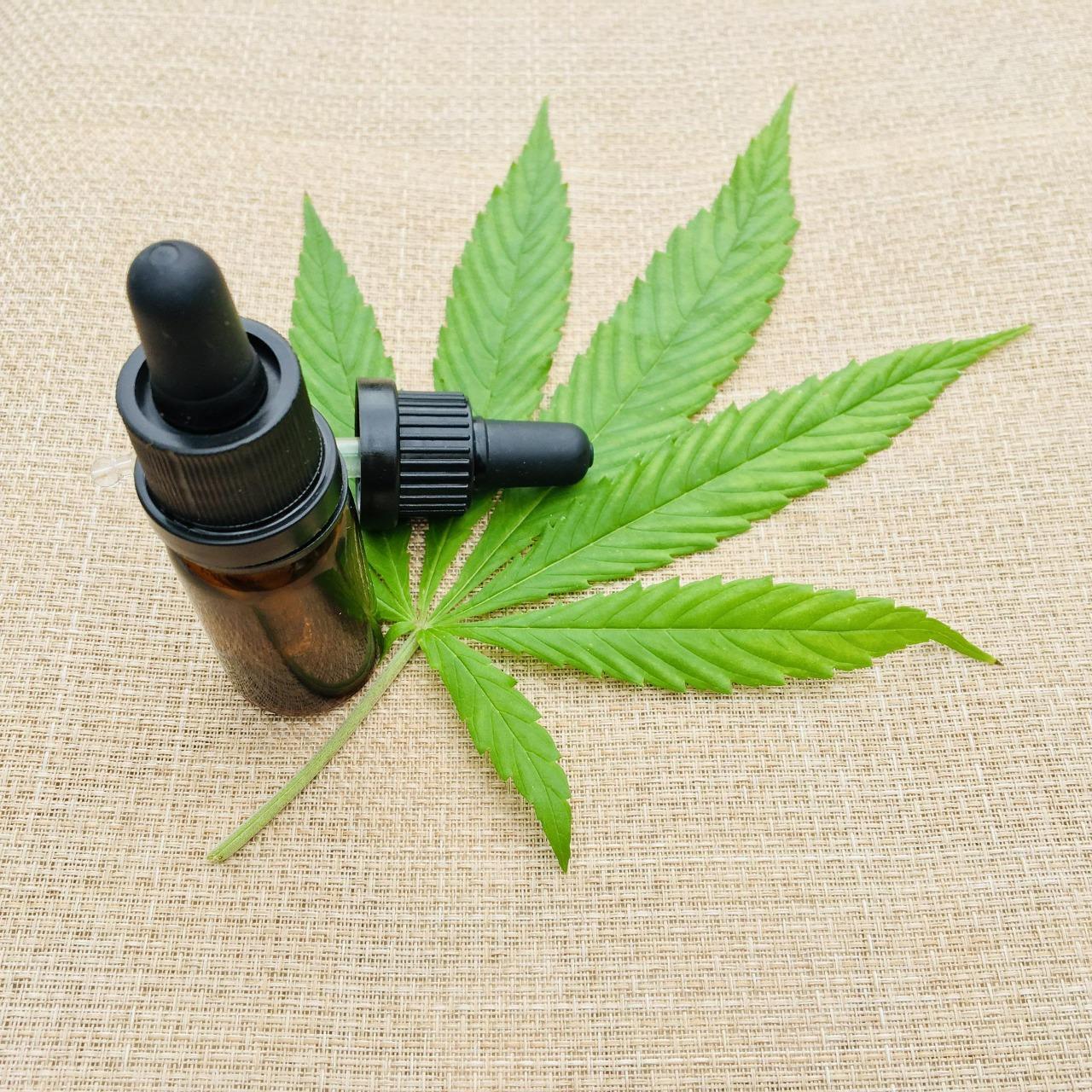 Pesquisa indica queda de 41% no custo mensal para uso da cannabis medicinal no Brasil