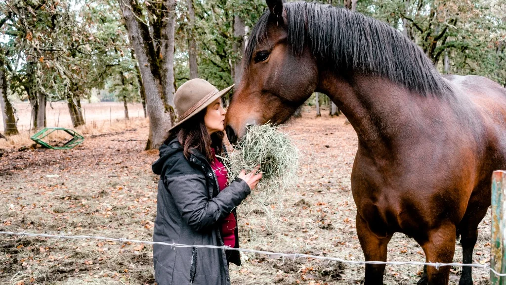 Santuário de Animais USA Hemp